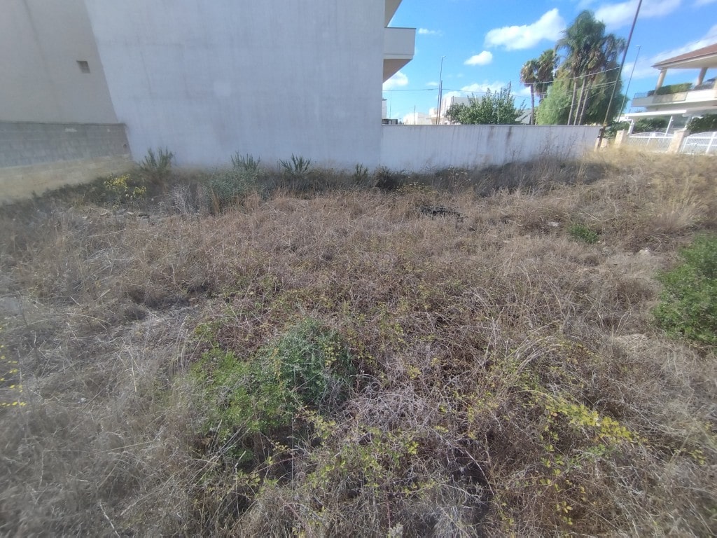 Giano Group Immobiliare